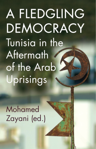 Imagen de portada: A Fledgling Democracy 9780197661635