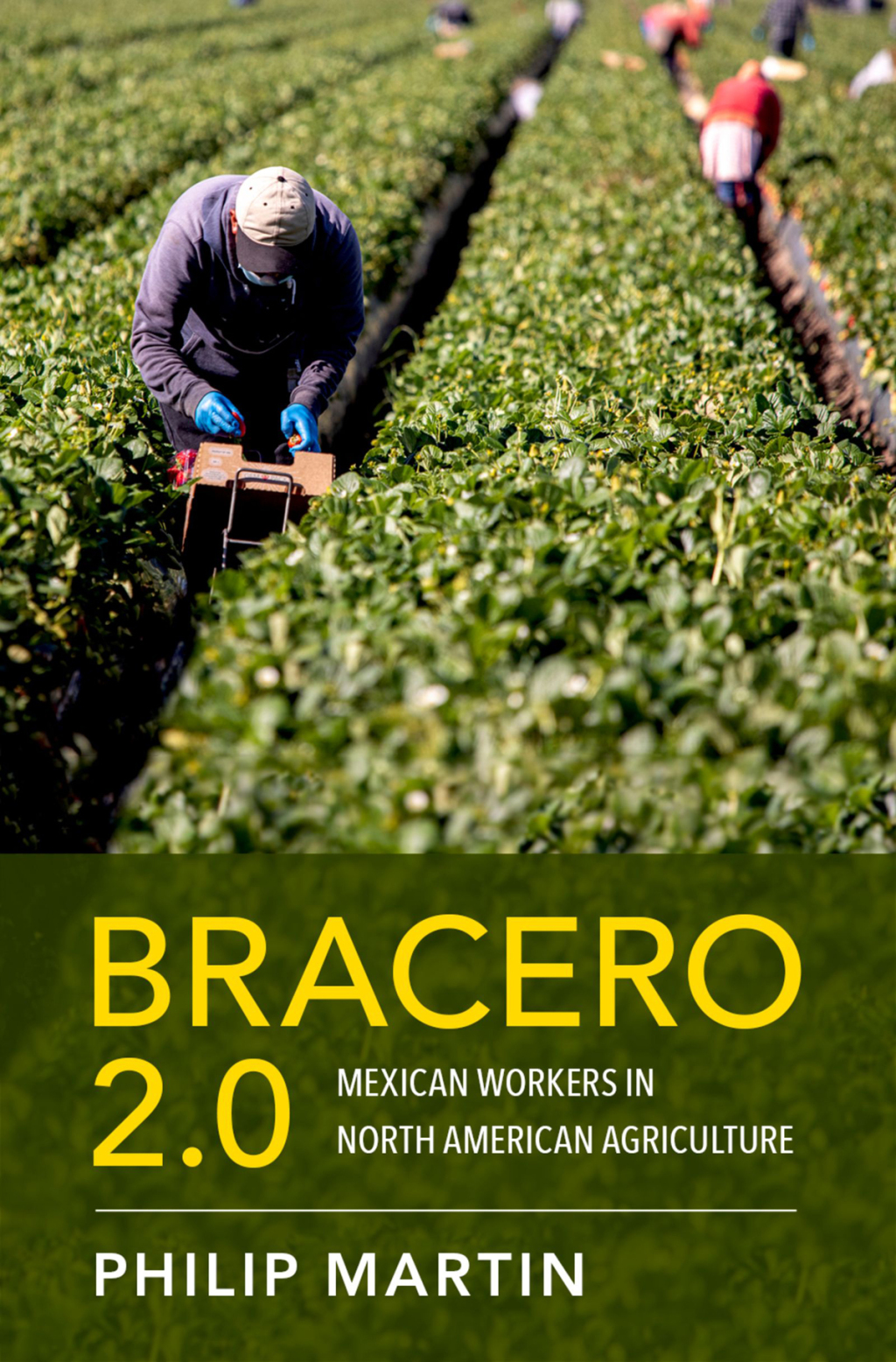 Bracero 2.0 Mexican Workers in North American Agriculture 1st Edition