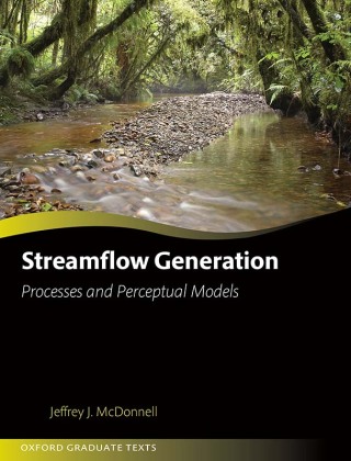 Immagine di copertina: Streamflow Generation 9780192677143