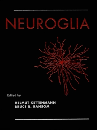 Imagen de portada: Neuroglia 2nd edition