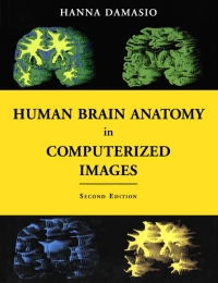 Cover image: Human Brain Anatomy in Computerized Images 2nd edition 9780195165616