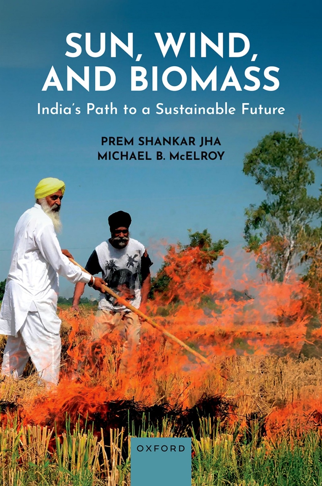 Sun  Wind  and Biomass  1st Edition eBook Rental