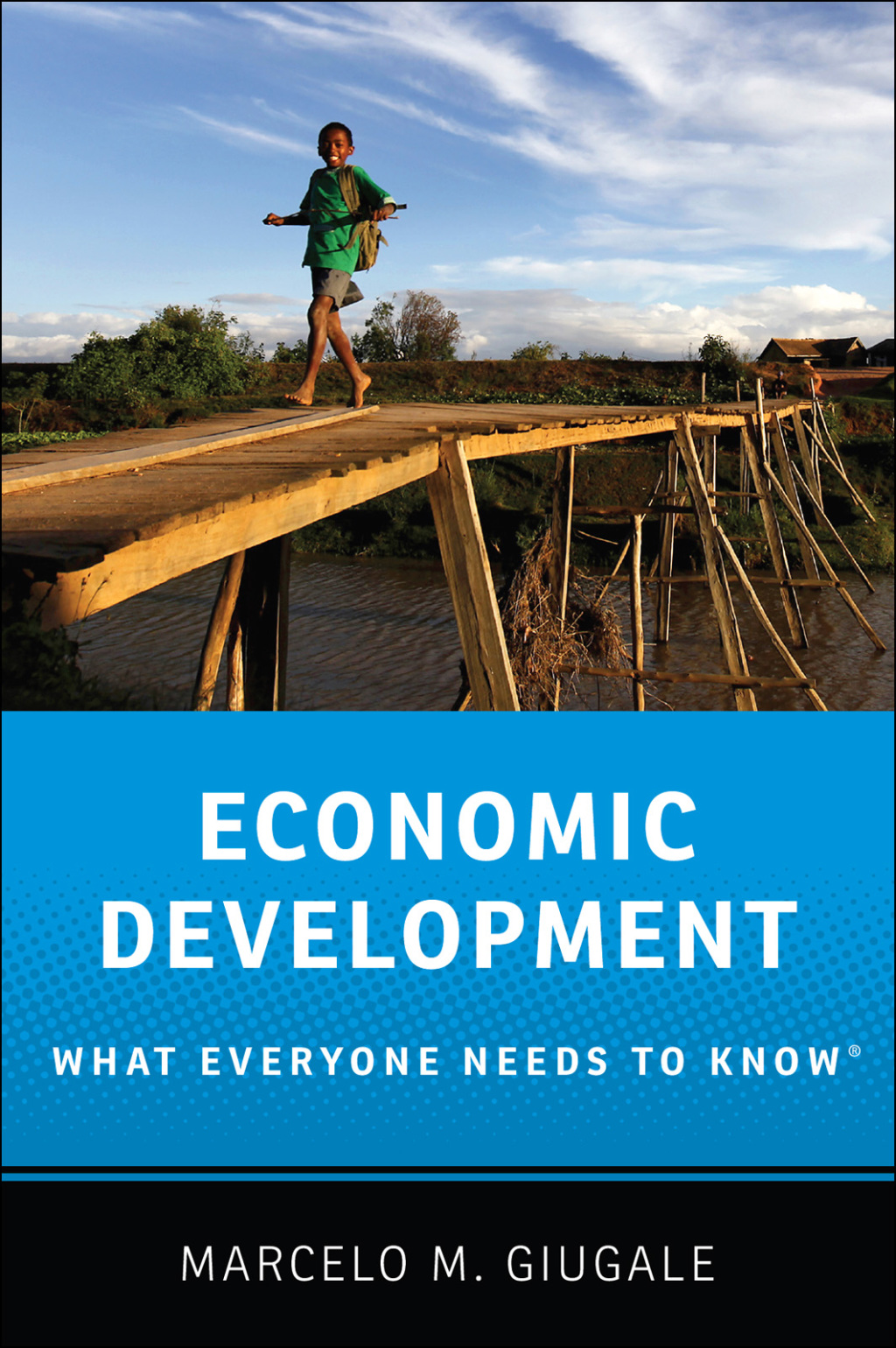 Economic Development What Everyone Needs to Know®