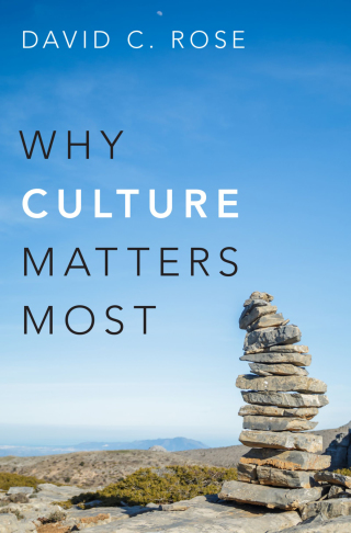 Cover image: Why Culture Matters Most 9780199330720