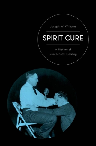 Imagen de portada: Spirit Cure 9780199765676