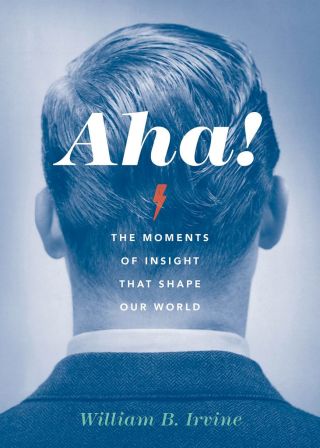 Imagen de portada: Aha! 9780190690274