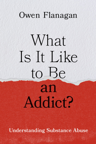 Titelbild: What Is It Like to Be an Addict? 1st edition 9780199388929