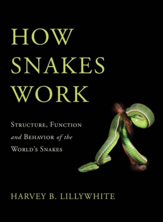Cover image: How Snakes Work 9780195380378