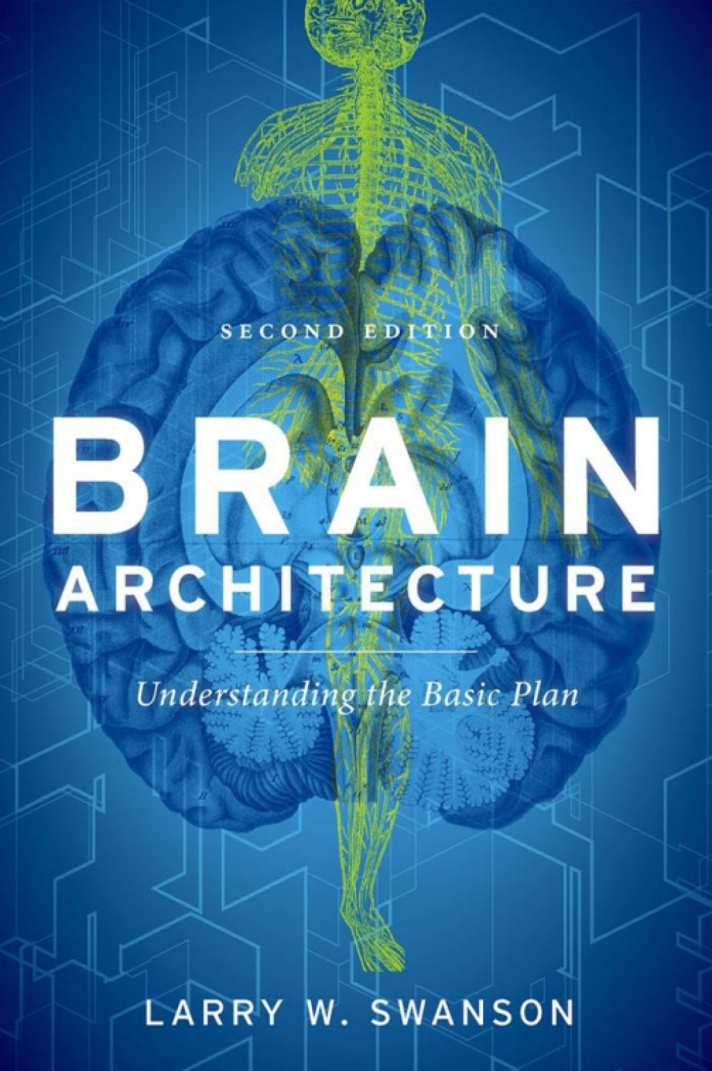 Brain Architecture