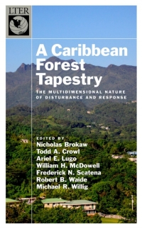 Cover image: A Caribbean Forest Tapestry 1st edition 9780195334692