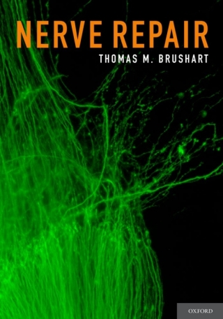 Cover image: Nerve Repair 9780195169904