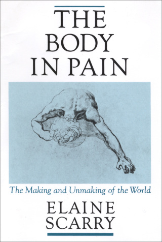 Cover image: The ^ABody in Pain 9780195049961