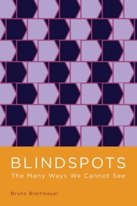 Cover image: Blindspots 9780195394269