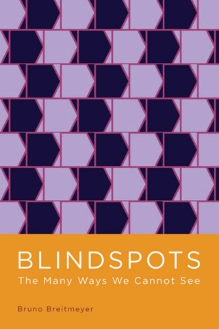 Imagen de portada: Blindspots 9780195394269