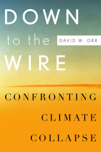 Cover image: Down to the Wire 9780195393538