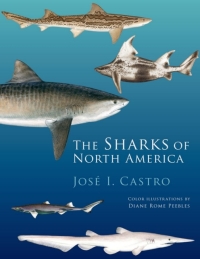 Omslagafbeelding: The Sharks of North America 9780195392944