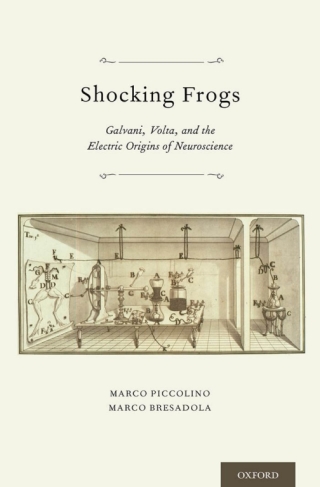 Immagine di copertina: Shocking Frogs 9780199782161