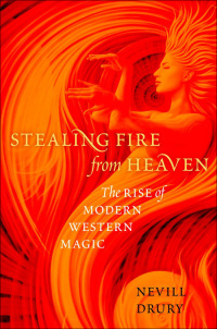 Omslagafbeelding: Stealing Fire from Heaven 9780199751006