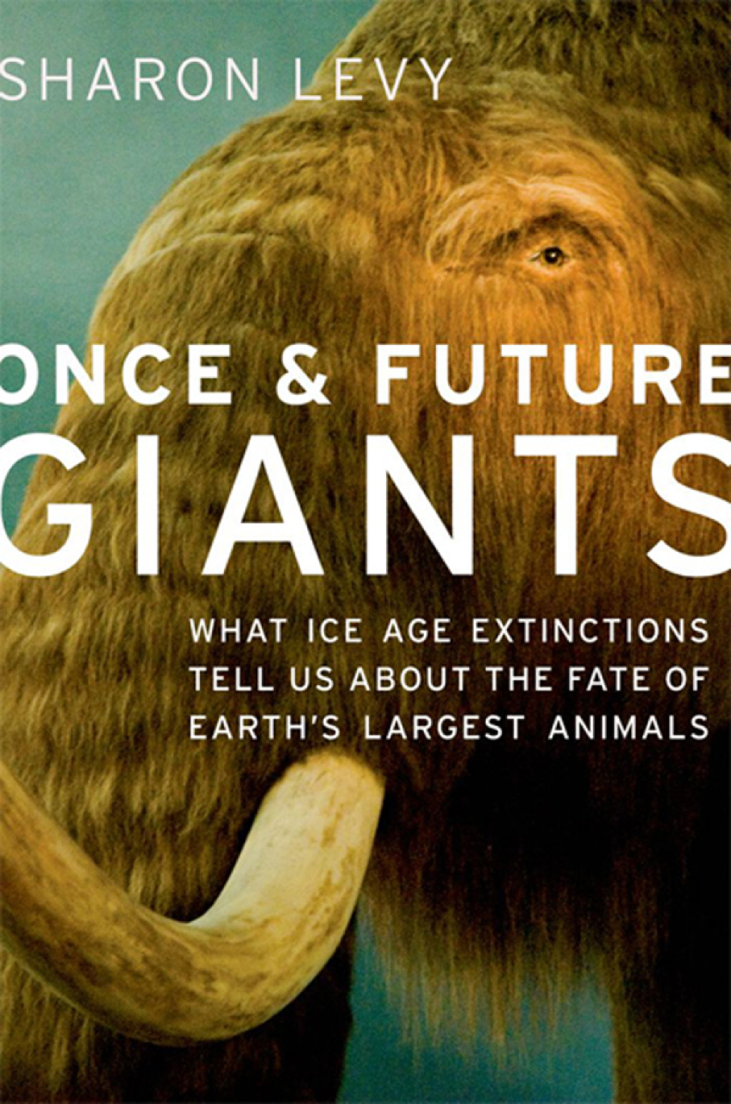 Once and Future Giants What Ice Age Extinctions Tell Us About the Fate of Earth’s Largest Animals