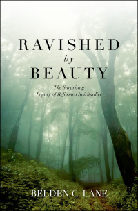 Cover image: Ravished by Beauty 9780199755080