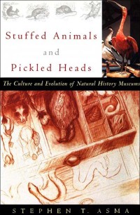Cover image: Stuffed Animals and Pickled Heads 9780195163360