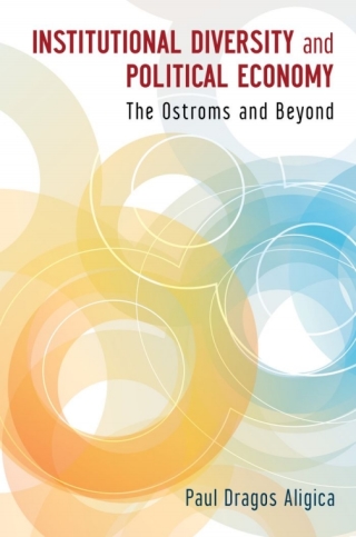 Imagen de portada: Institutional Diversity and Political Economy 9780199843909