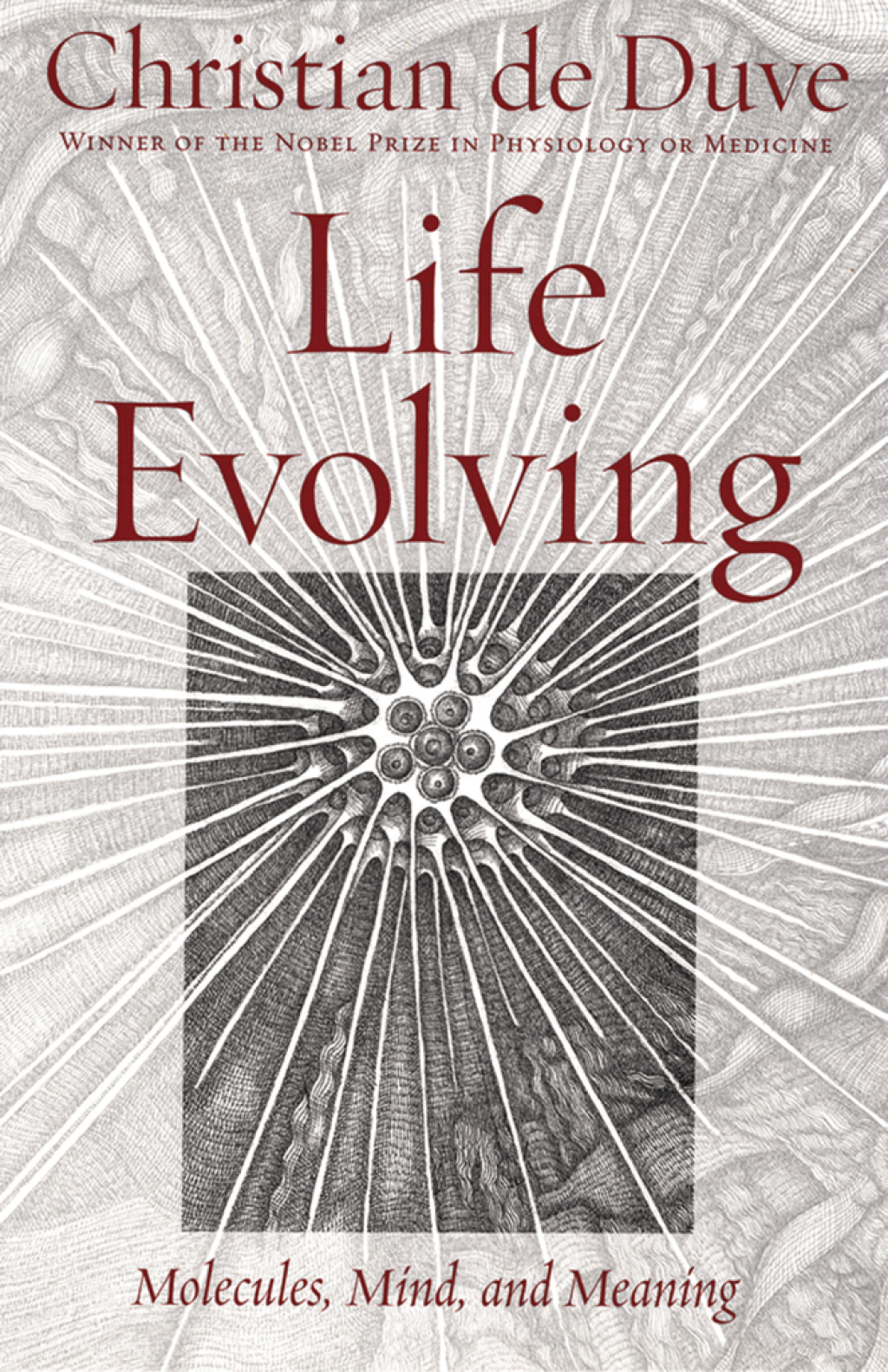 Life Evolving Molecules, Mind, and Meaning