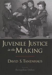 Cover image: Juvenile Justice in the Making 9780195160451