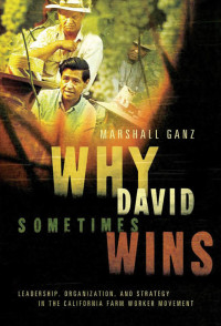 Imagen de portada: Why David Sometimes Wins 9780195162011