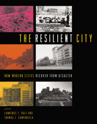 Cover image: The Resilient City 1st edition 9780195175837
