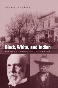 Cover image: Black, White, and Indian 9780195313109