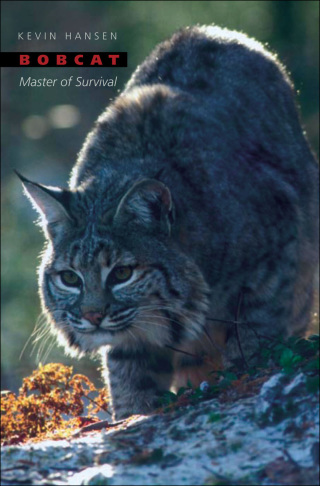 Imagen de portada: Bobcat 9780195183030