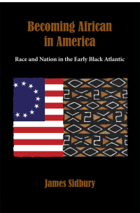 Cover image: Becoming African in America 1st edition 9780195382945