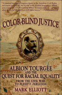 Cover image: Color Blind Justice 9780195370218
