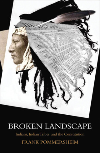 Cover image: Broken Landscape 9780199915736