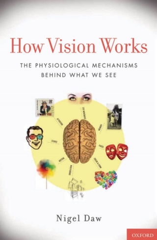 Cover image: How Vision Works 9780199751617