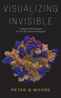 Cover image: Visualizing the Invisible 9780199767090
