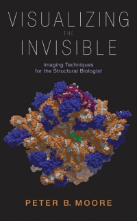 Imagen de portada: Visualizing the Invisible 9780199767090