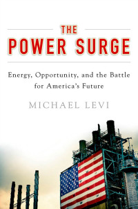 Cover image: The Power Surge 9780199390021