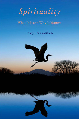 Cover image: Spirituality 9780199738748