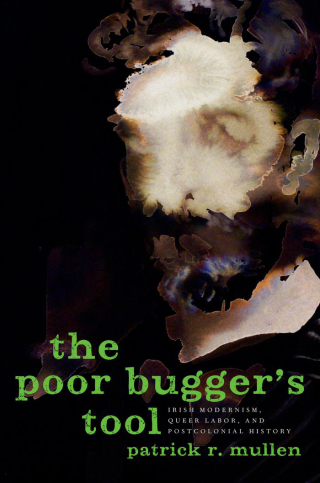 Titelbild: The Poor Bugger's Tool 9780199746699