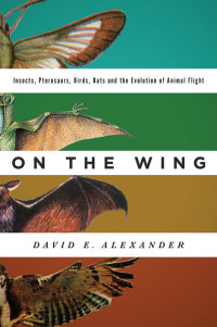 Cover image: On the Wing 9780199996773