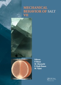 صورة الغلاف: Mechanical Behaviour of Salt VII 1st edition 9780415621229