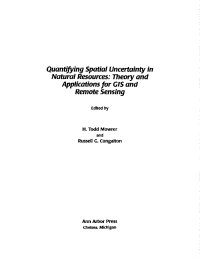 Titelbild: Quantifying Spatial Uncertainty in Natural Resources 1st edition 9781575041315