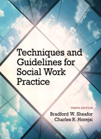 表紙画像: Techniques and Guidelines for Social Work Practice 10th edition 9780205965106