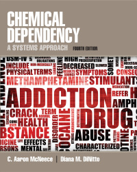 表紙画像: Chemical Dependency: A Systems Approach 4th edition 9780205787272
