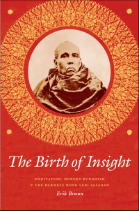 Cover image: The Birth of Insight 1st edition 9780226418575