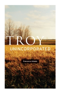 Cover image: Troy, Unincorporated 1st edition 9780226001203