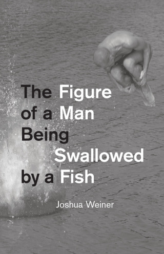 Cover image: The Figure of a Man Being Swallowed by a Fish 1st edition 9780226017013