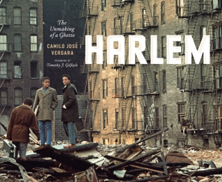 Imagen de portada: Harlem 1st edition 9780226853369